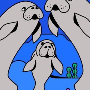 Meet your Posher, Felder